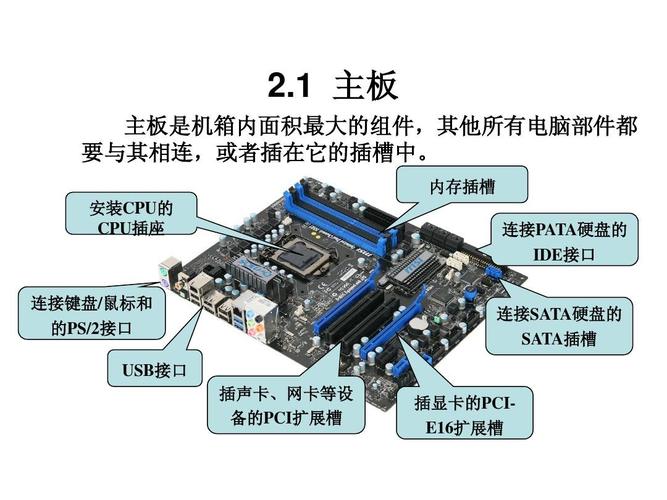 无忧文档 所有分类 it/计算机 电脑选购指南(附图)ppt 电脑的各个组件